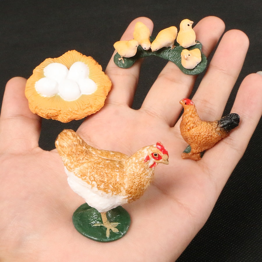 Life Cycle Educational Toys-Toy-Little Pea Shop