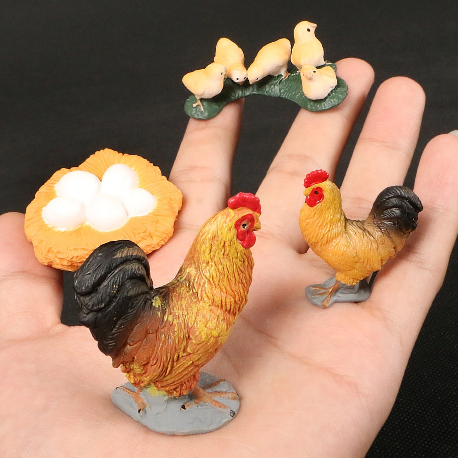 Life Cycle Educational Toys-Toy-Little Pea Shop