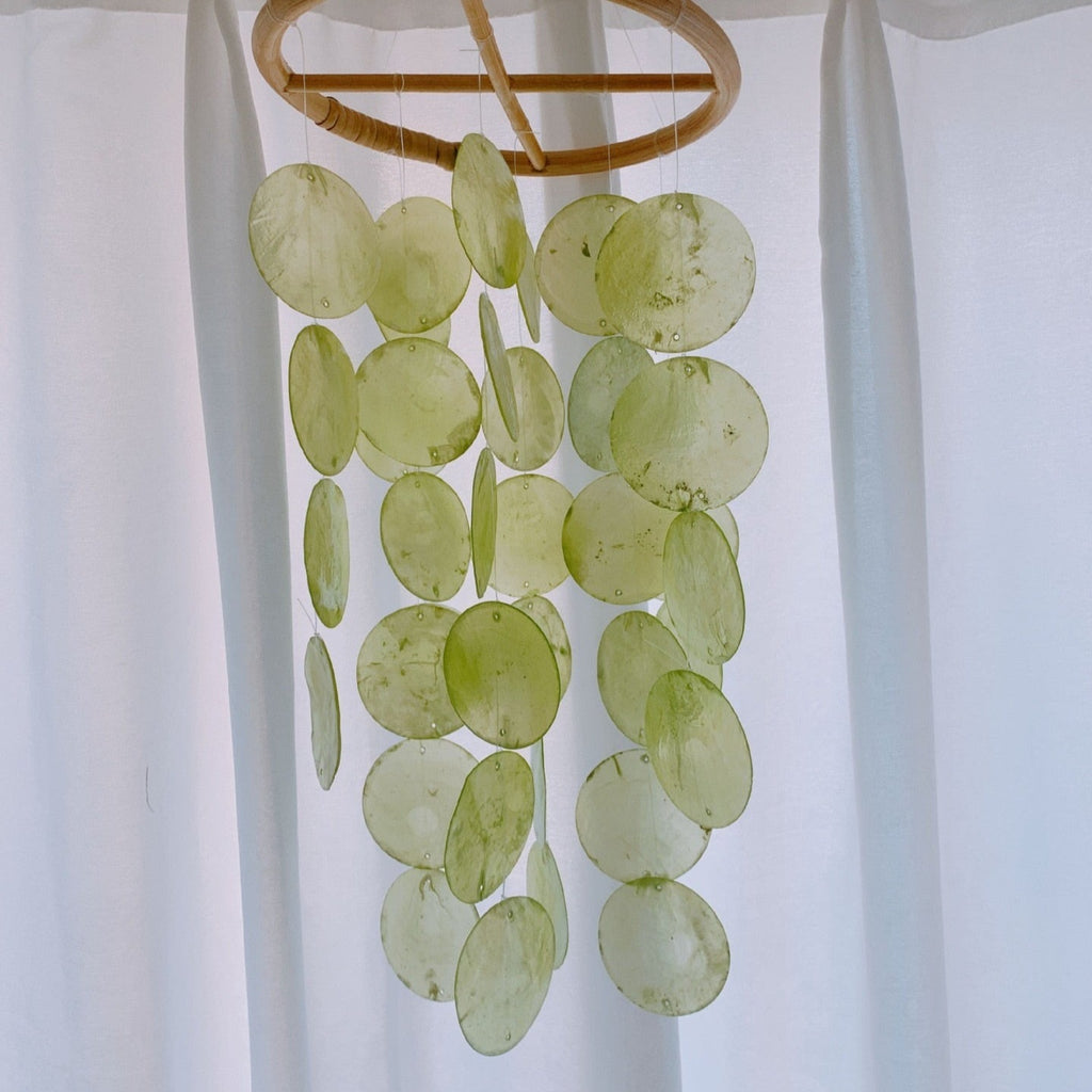 Natural Shell Wind Chime