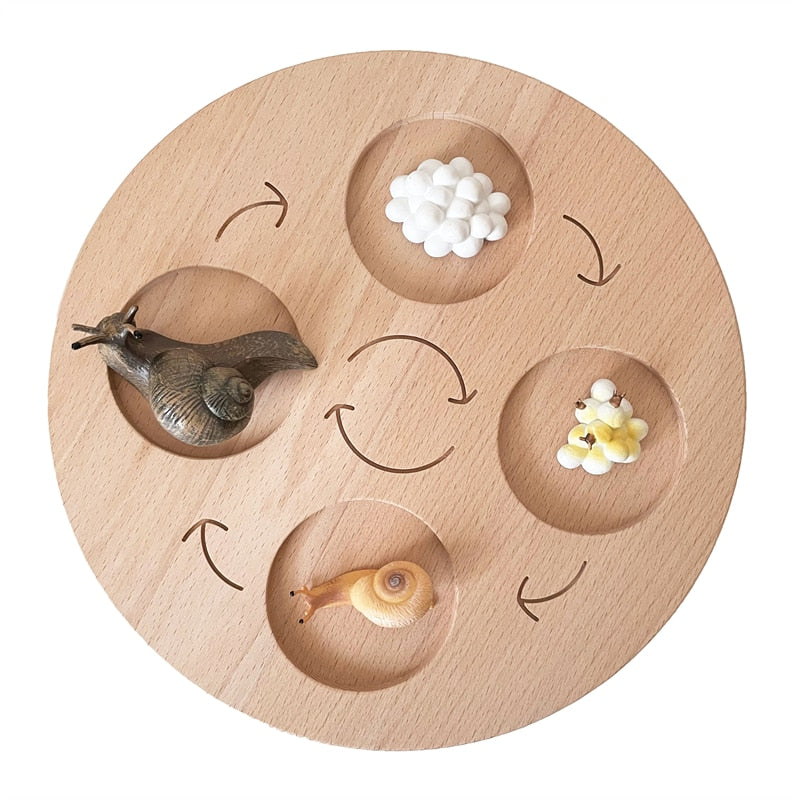 Life Cycle Board Set