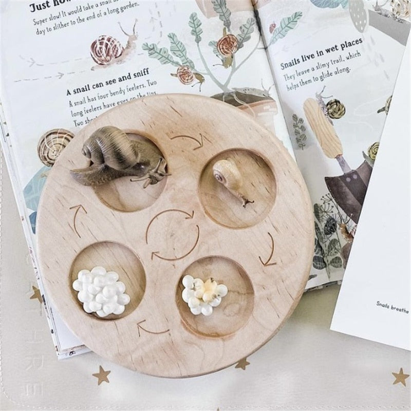 Life Cycle Board Set