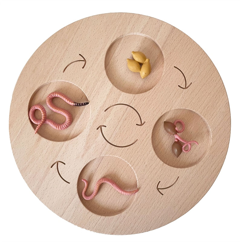 Life Cycle Board Set