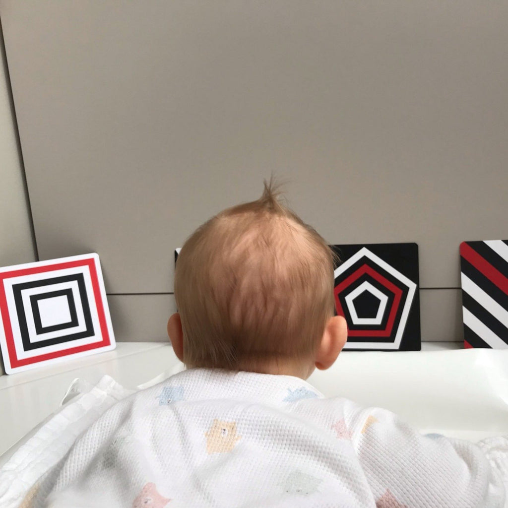 High Contrast Montessori Flash Cards