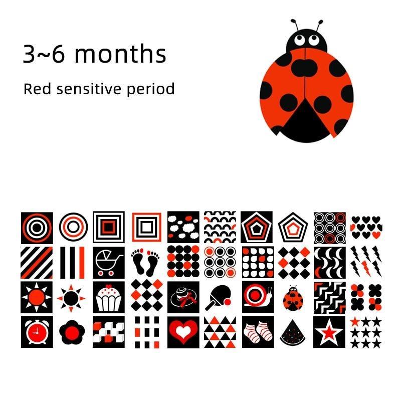 High Contrast Montessori Flash Cards